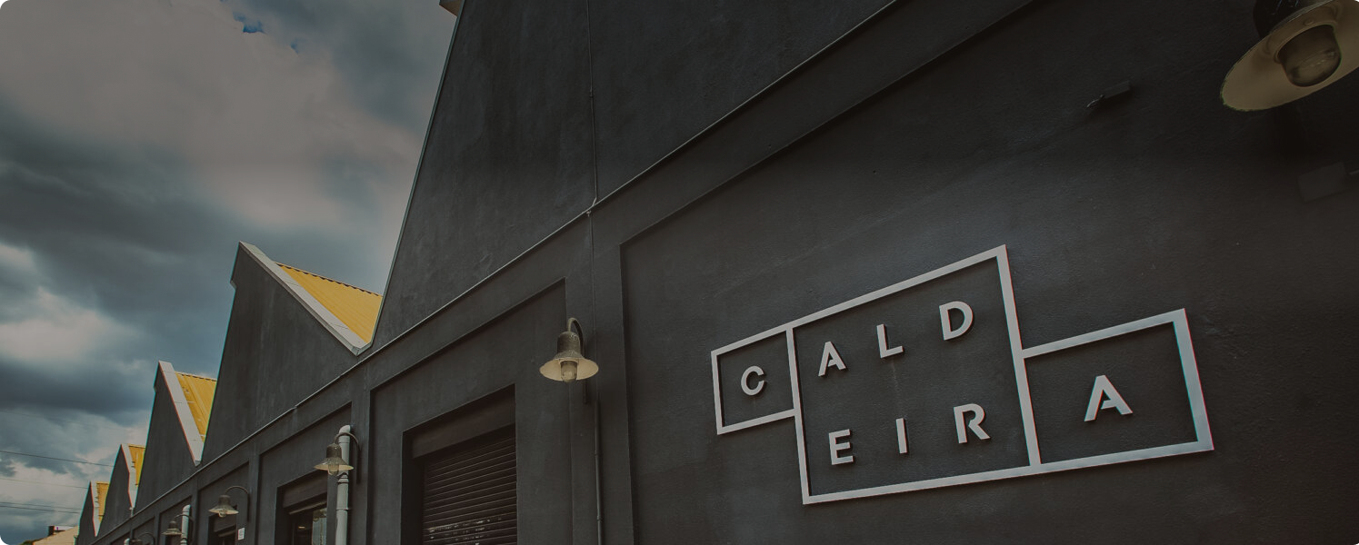 Instituto Caldeira