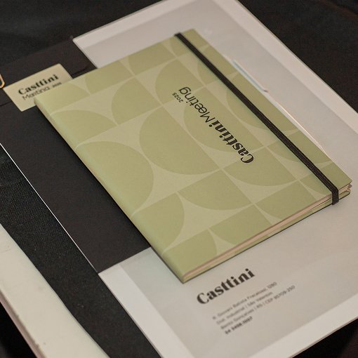 Casttini